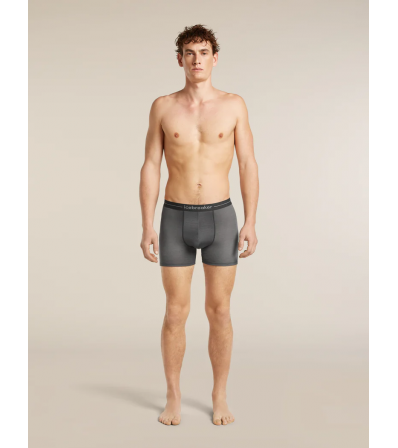 Боксерки Icebreaker Merino 150 Anatomica Boxers Transitions