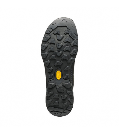 Планински Oбувки Scarpa Rapid XT MID GTX M's