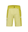 Къси панталони Mammut Ducan Shorts Men