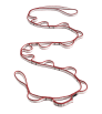 Лента Black Diamond 12MM Dynex Daisy Chain 140CM