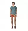 Шорти Patagonia Baggies 5